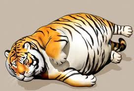 tiger22